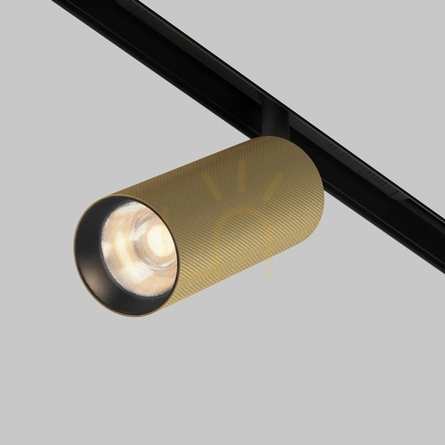 Check ARTISAN TR097-2-12W3K-M-BMG busbar spotlight Maytoni