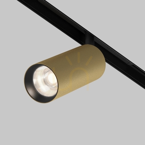 Check ARTISAN TR097-2-12W4K-M-BMG busbar spotlight Maytoni
