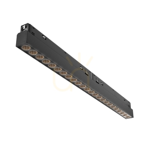 POINTS rail lamp TR031-4-24WTW-DD-B Maytoni small 1