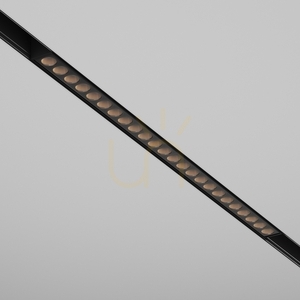 POINTS rail lamp TR031-4-24WTW-DD-B Maytoni small 0