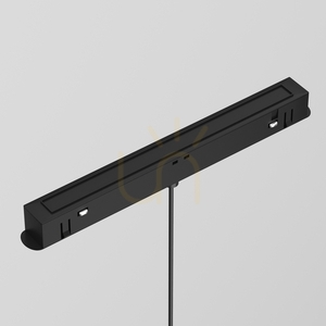 LUNA rail pendant lamp TR039-2-5W4K-1 Maytoni small 3