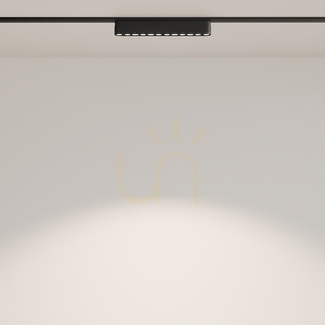 POINTS rail lamp TR082-1-12W4K-M-B Maytoni small 3