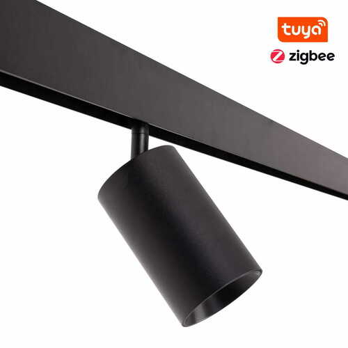 Check Track Light Max Light MAX M0010Z black Zigbee LED 18W 2700-5000K