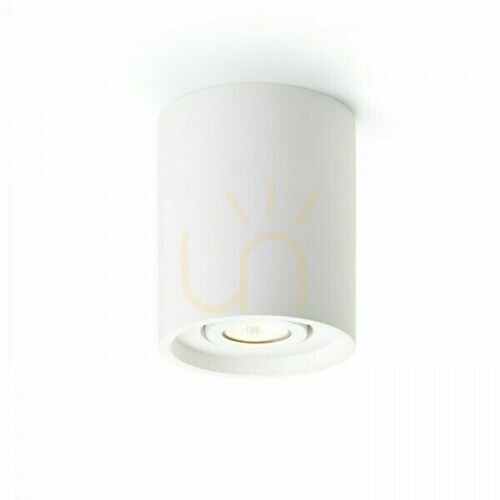 Check Coles Ceiling Directed Gypsum Luminaire 230 V Gu10 15 Watt.