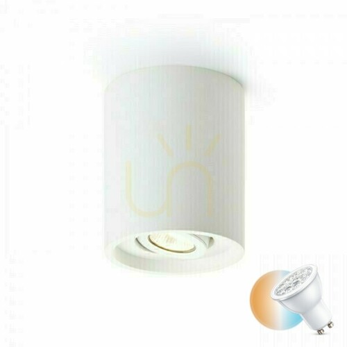 Check Coles Ceiling Directed Gypsum Luminaire 230 V Gu10 15 Watt.
