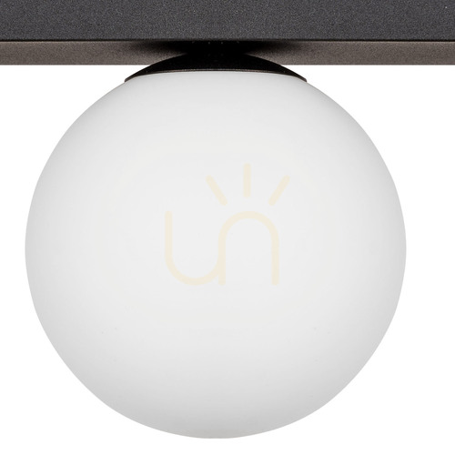 Check Zuma Line SPHERE 1206 black and white ceiling light, 1×G9 LED