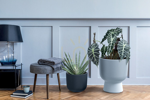 Check MILLY-green pine frost-proof flowerpot