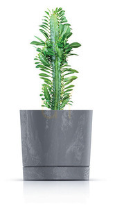 TUBO P BETON EFFECT frost resistant flowerpot - concrete 14.5 L small 1