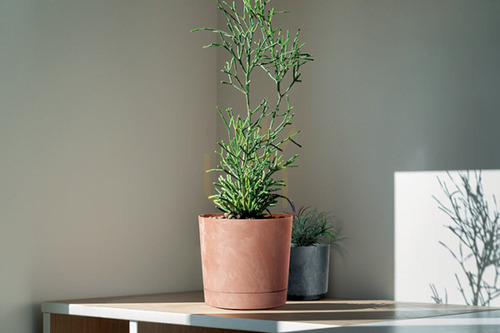Check TUBO P BETON EFFECT frost resistant flowerpot - concrete 14.5 L