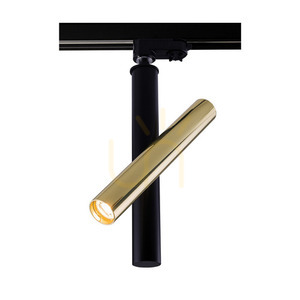 Spotlight Antigo Akadi R2 Polished Brass Black 8895 small 0