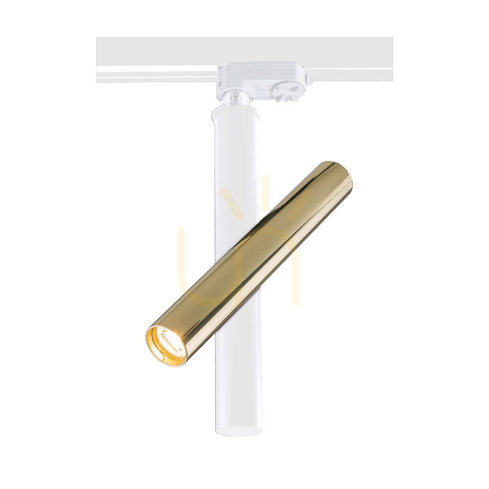 Spotlight Antigo Akadi R2 Polished Brass White LED MR11 8896