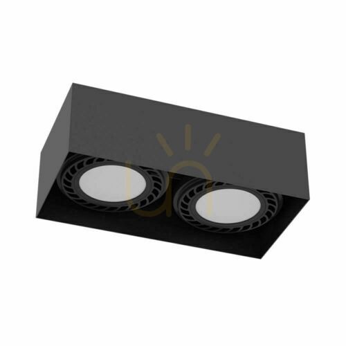 Check Ceiling Light Antigo Cage Black 2-Light Steel LED ES111 1269