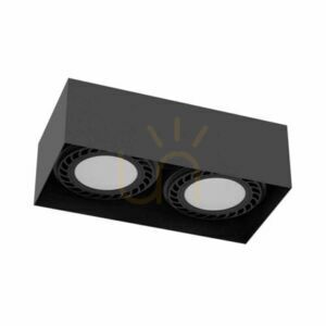 Ceiling Light Antigo Cage Black 2-Light Steel LED ES111 1269 small 0