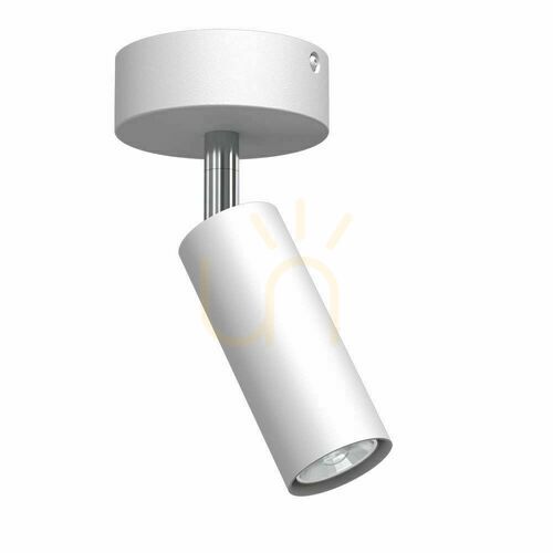 Check Spotlight Antigo Point 40 Move White Steel LED MR11 2285