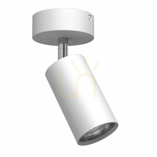 Check Spotlight Antigo Point 55 Move White Steel GU10 LED 2287