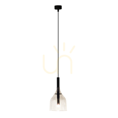 Check Pendant Light Antigo Botor 1 Black Transparent Glass 15 cm LED G9 5095