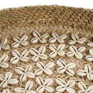 The Costa Shell Plate - Natural White - M small 6