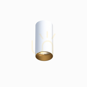 White, Gold