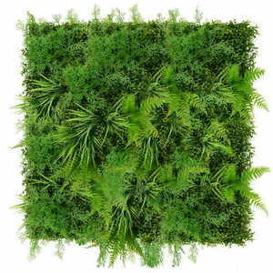 Sequoia Plant Wall 50x50cm 1 Sequoia Plant Wall 50x50cm small 1