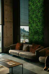 Sequoia Plant Wall 50x50cm 2 Sequoia Plant Wall 50x50cm small 2