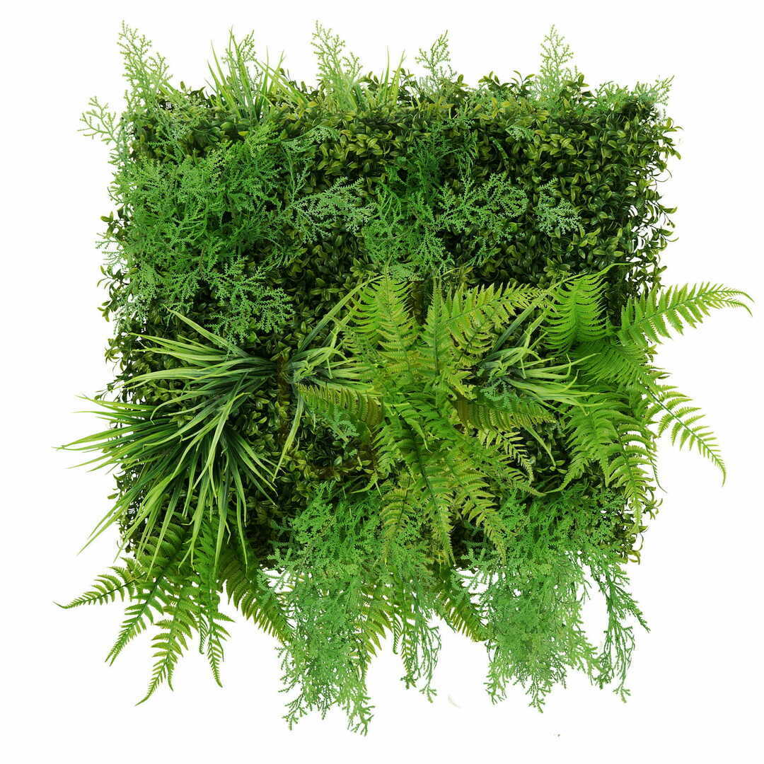 Check Sequoia Plant Wall 50x50cm Sequoia Plant Wall 50x50cm