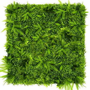 Green Wall Grapevine 50x50cm 1 Green Wall Grapevine 50x50cm small 1