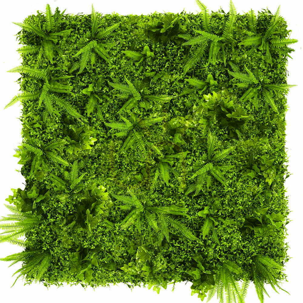 View Green Wall Grapevine 50x50cm Green Wall Grapevine 50x50cm