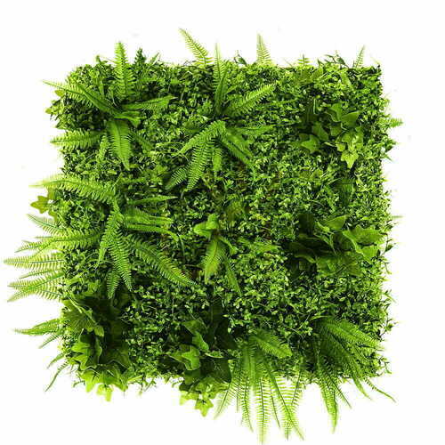 Check Green Wall Grapevine 50x50cm