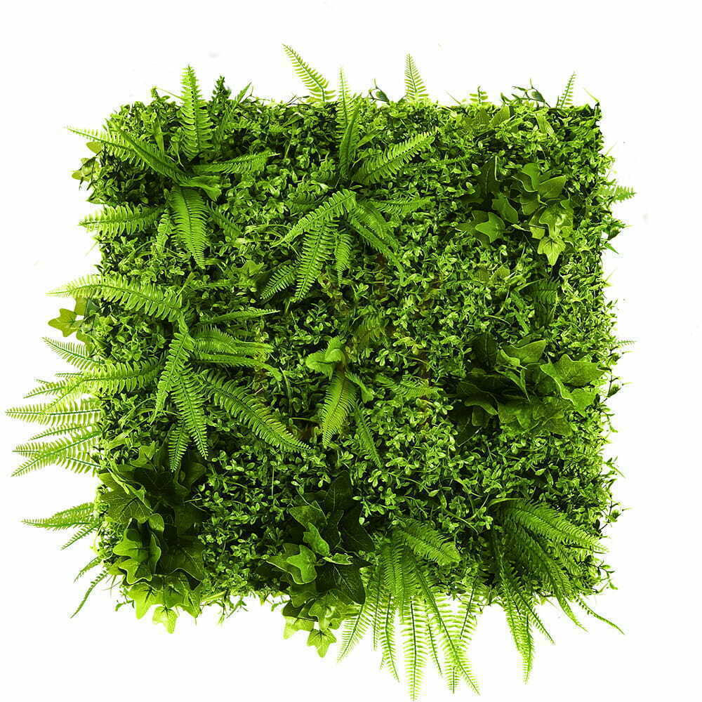 Check Green Wall Grapevine 50x50cm Green Wall Grapevine 50x50cm