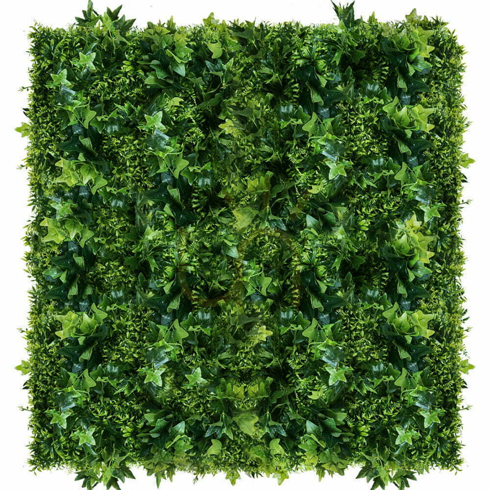 View Green Hedera Wall 50x50cm Green Hedera Wall 50x50cm