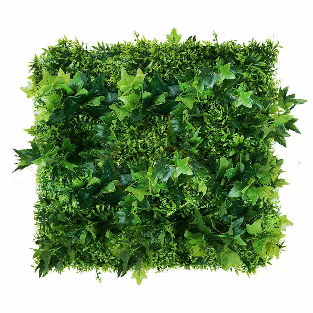 Check Green Hedera Wall 50x50cm Green Hedera Wall 50x50cm