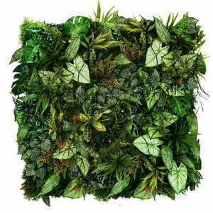 Mayan Ray vertical garden small 1