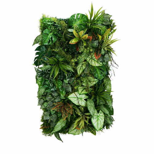 Check Mayan Ray vertical garden
