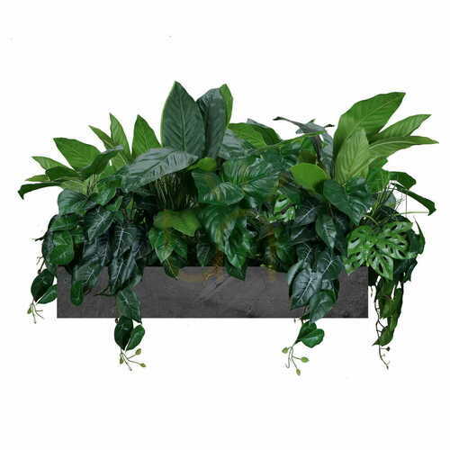Check Exotic Fair pot composition