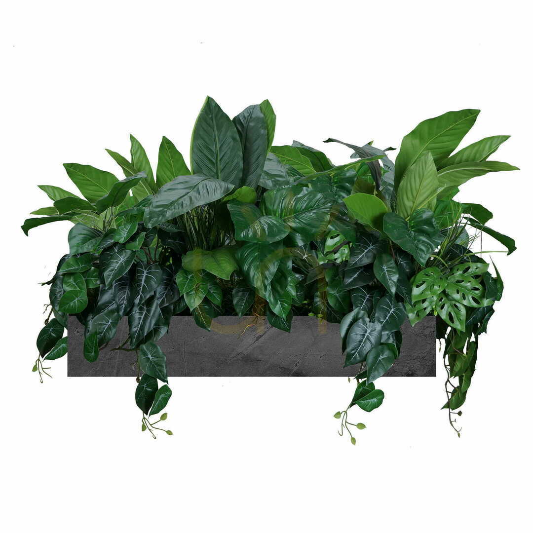 Check Exotic Fair pot composition Exotic Fair pot composition
