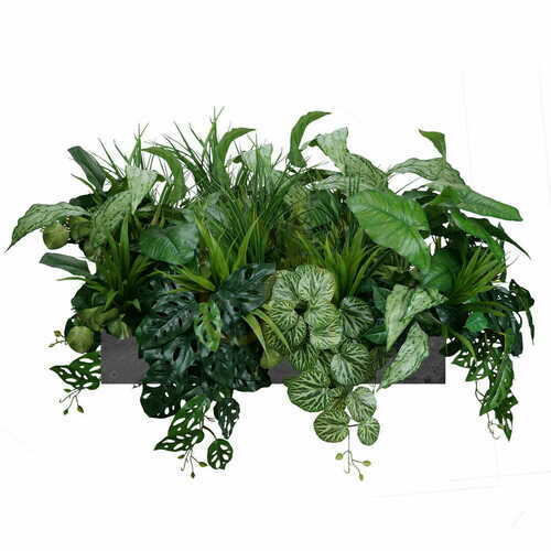 Check Verdant Haven potting composition