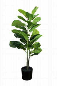 Decorative plant Ficus 90cm 1 Decorative plant Ficus 90cm small 1