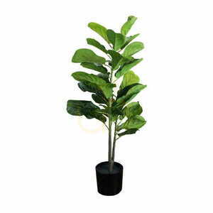 Decorative plant Ficus 90cm 0 Decorative plant Ficus 90cm small 0