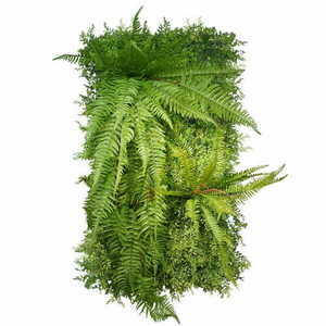 Forest Vertical Garden 0 Forest Vertical Garden small 0