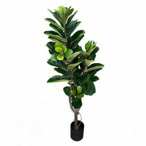Check Artificial Ficus Plant 180cm