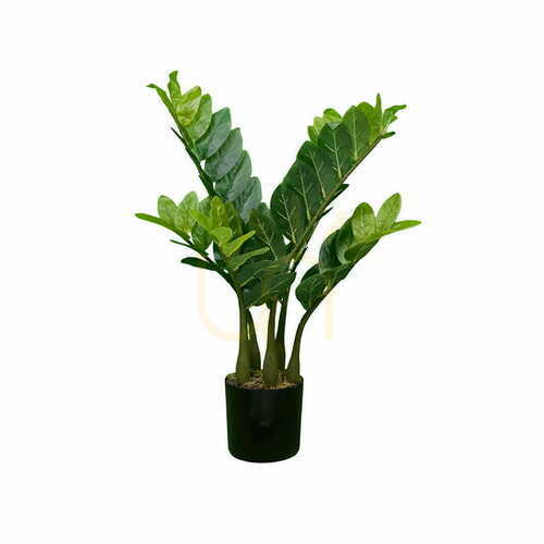 Check Artificial Zamioculcas Plant 60cm