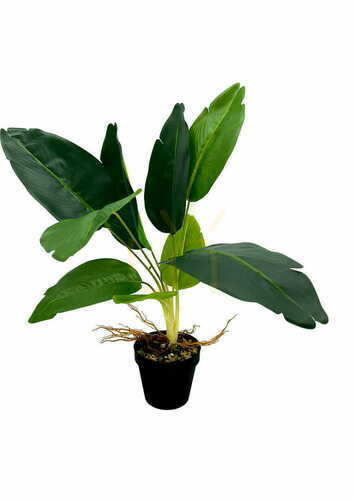 Check Artificial Difenbachia Plant 55 cm