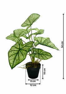 Artificial Syngonium Plant 54 cm 1 Artificial Syngonium Plant 54 cm small 1