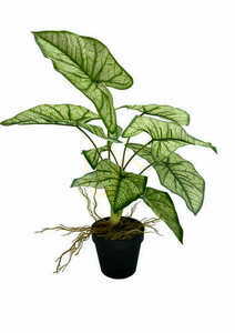 Artificial Syngonium Plant 54 cm 4 Artificial Syngonium Plant 54 cm small 4