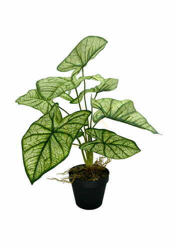 Check Artificial Syngonium Plant 54 cm