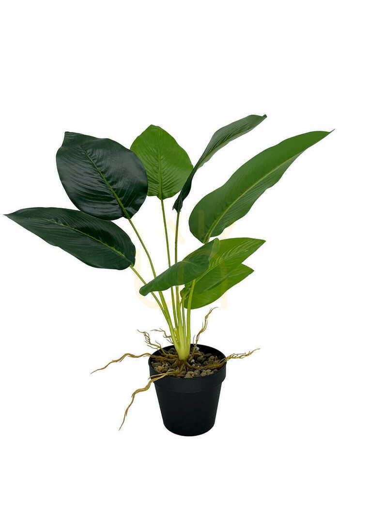 Preview Artificial Banana Plant 55 cm Artificial Banana Plant 55 cm
