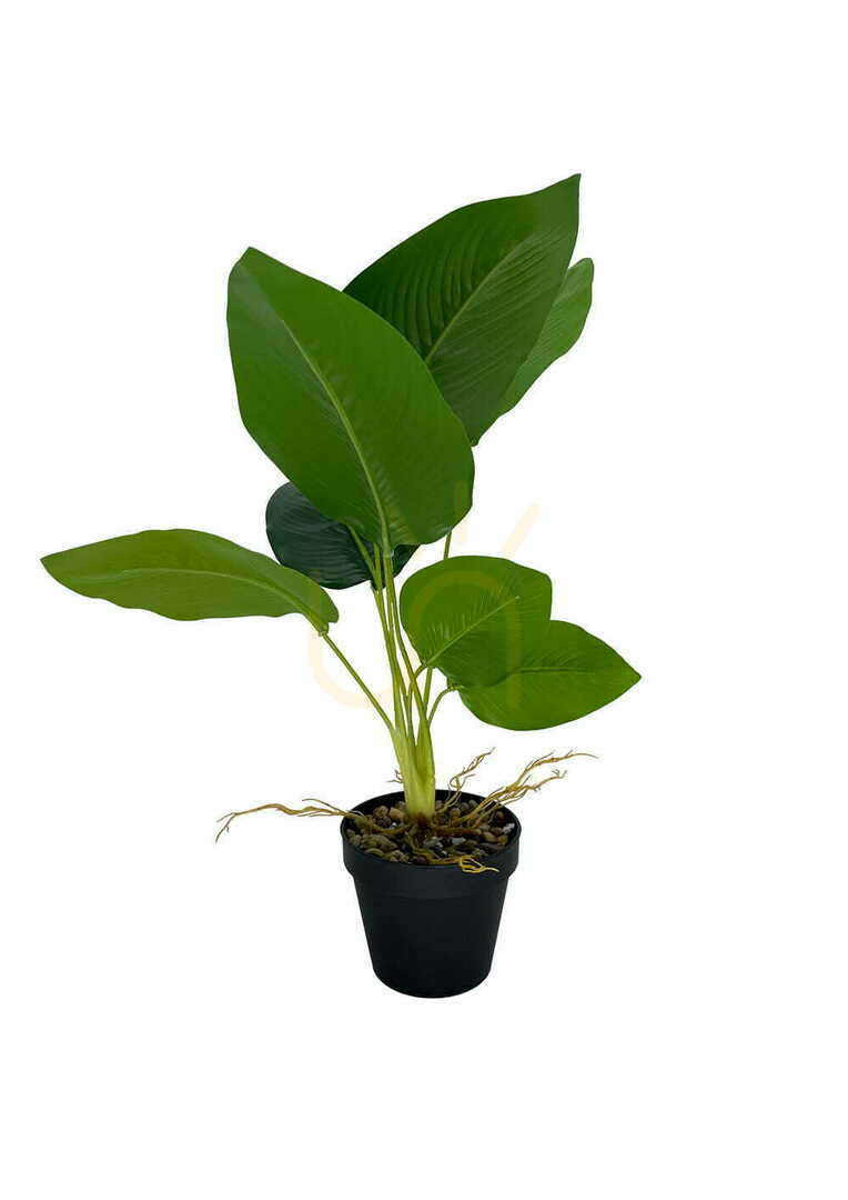 Display Artificial Banana Plant 55 cm Artificial Banana Plant 55 cm