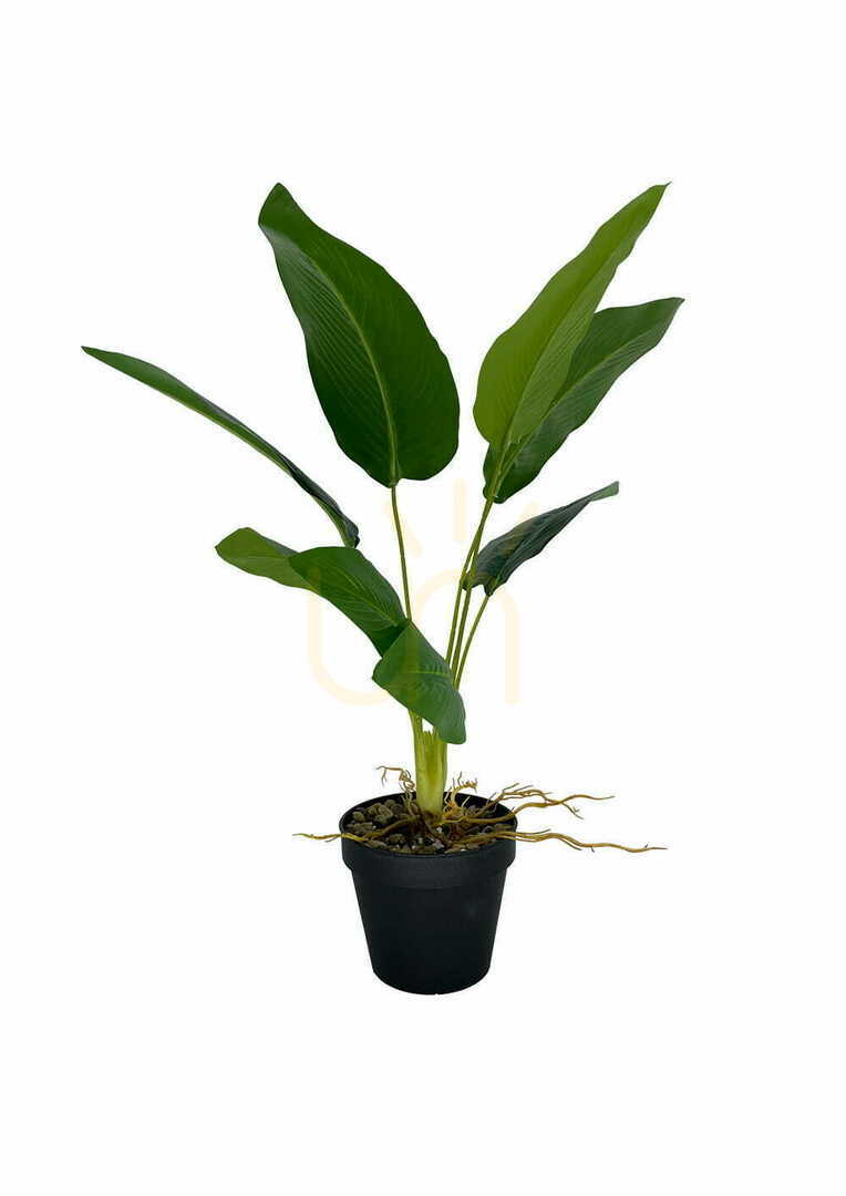 Show Artificial Banana Plant 55 cm Artificial Banana Plant 55 cm