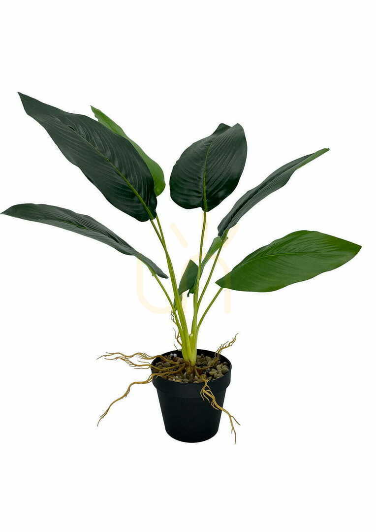 Check Artificial Banana Plant 55 cm Artificial Banana Plant 55 cm