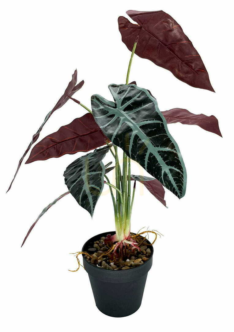 Preview Artificial Plant Allocasia 47 cm Artificial Plant Allocasia 47 cm